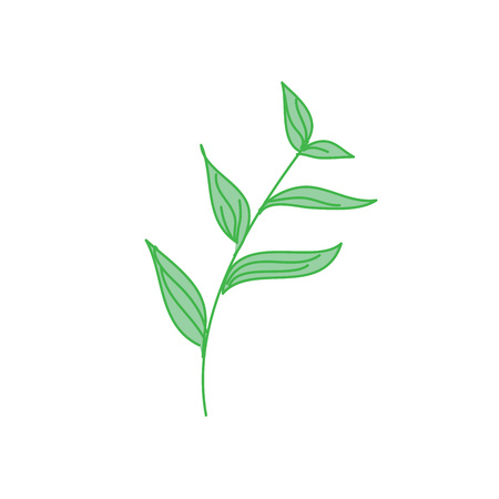 Decorative Tropical Leaf Hand Drawn Vector Illustration Designのイラスト素材