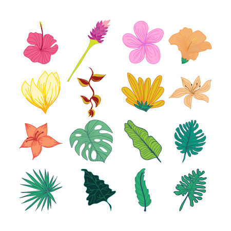 Decorative Tropical Flower And Leaves Hand Drawn Illustrationのイラスト素材