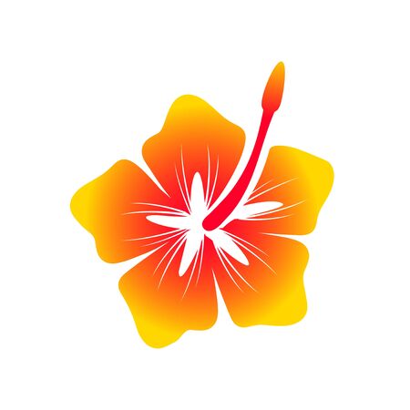 Hawaiian Hibiscus Flower Vector Symbol Graphic Logo Design Templateのイラスト素材