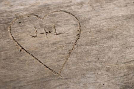 A heart symbol carved in a log.の写真素材