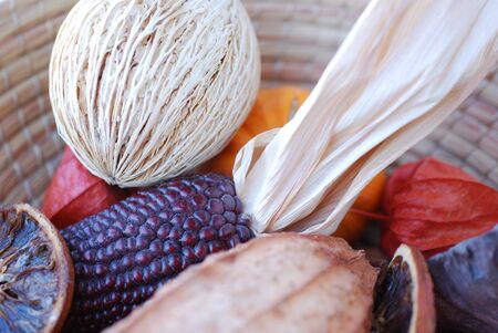 autumn things composition. Fall and autumnal concept.の写真素材