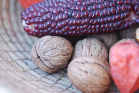 autumn things composition. Fall and autumnal concept.の写真素材