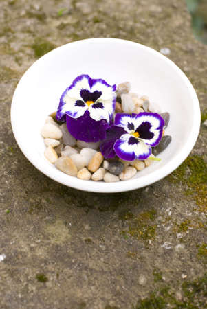 Zen decorative flowers, white bowl,  rock covered with moss and other natural decorative elements