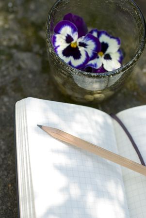 Old Diary book and natural decoration concept of  writer creativityの写真素材