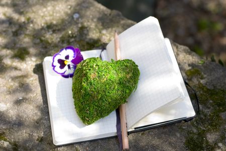Old Diary book and natural decoration concept of  writer creativityの写真素材