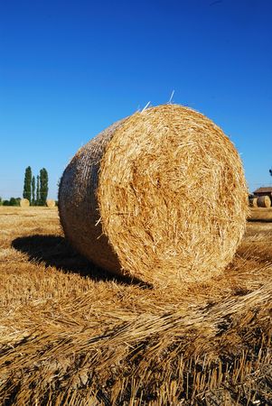 Straw bales on italian farmland with blue sky