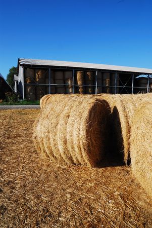 Straw bales on italian farmland with blue sky