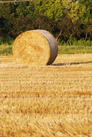 Straw bales on italian farmland with blue sky