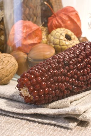 colors of autumn, composition with autumnal fruits