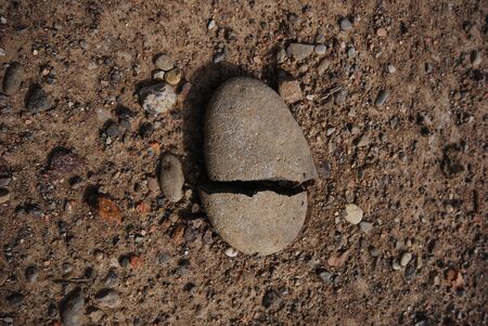 Dry field of cracked earth and cracked stoneの写真素材