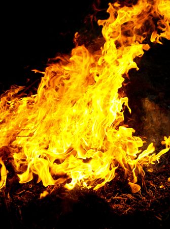Fire flames raising, Burning fire close-up