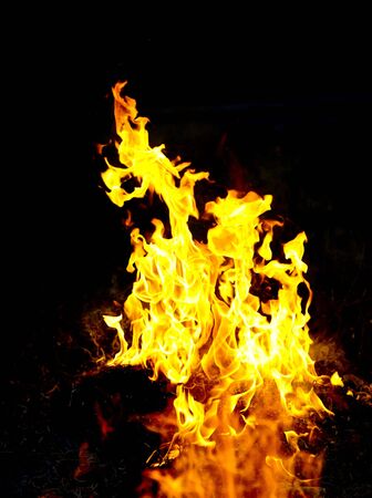 Fire flames raising, Burning fire close-up