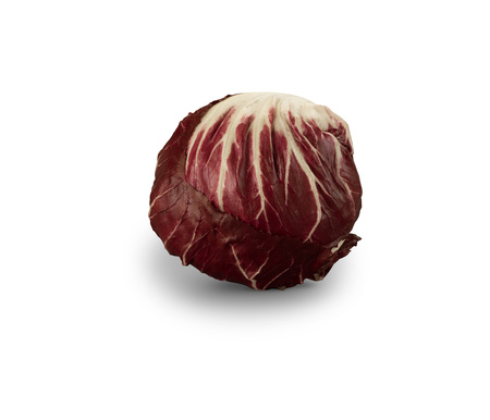 Organic Radicchio Lettuce isolated on whiteの写真素材