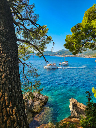 Pine trees and boats in Adriatic seaの写真素材