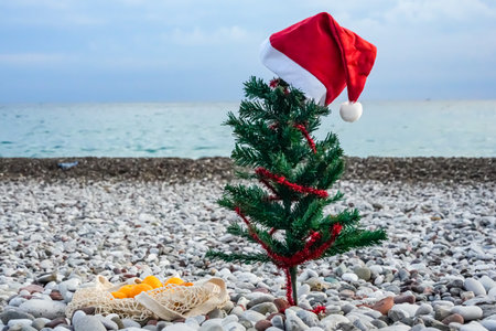 Horizontal photo of Christmas tree with Santa hat and net of mandarins placed on seaside. Festive holiday scene with ocean background.の写真素材
