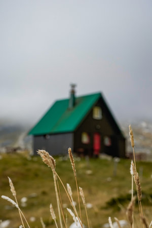 Mountain house with green roof blurred in background and wheat spikes in focusの写真素材
