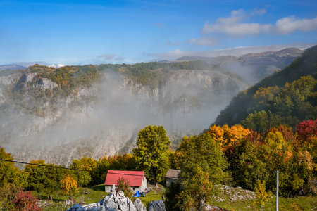 Mountain valley with house among autumn trees and morning fogの写真素材