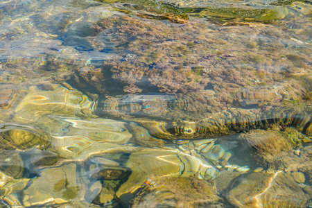 Clear Sea Water Revealing Colorful Corals Underwater