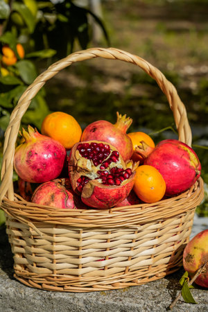 Fruits in basket with pomegranates and tangerines nearbyの写真素材