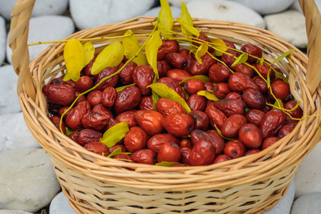 Close-Up of Chinese Dates in Basket