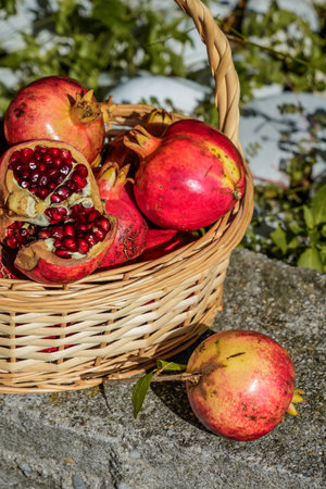 Half of a basket filled with pomegranatesの写真素材