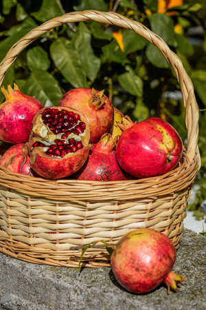 Pomegranates in basket with one fruit outsideの写真素材
