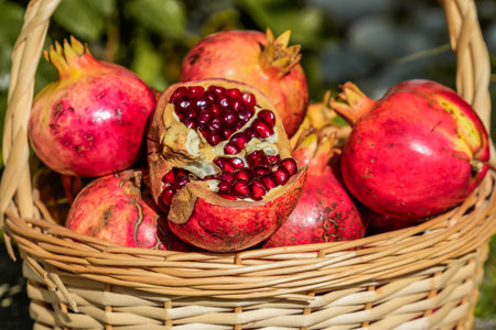 Close-up of pomegranates in basket with one open, horizontal viewの写真素材