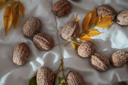 Walnuts with yellow autumn leaves on white background in natural sunlight