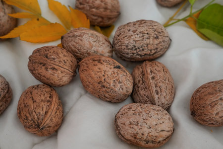 Close-up of walnuts with yellow leaves
