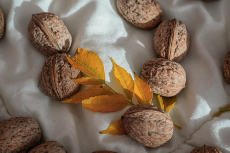 Close-up of walnuts and yellow leavesの写真素材