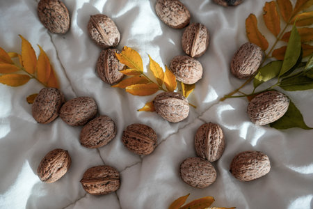White background with walnuts and yellow autumn leavesの写真素材