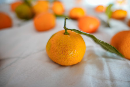 Mandarin on white surface, blurred background, side viewの写真素材