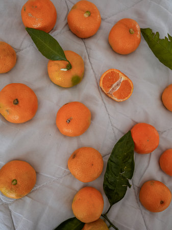 Vertical shot of fresh mandarins with green leafy branches placed on a white background, natural daylight highlights vibrant colors.の写真素材