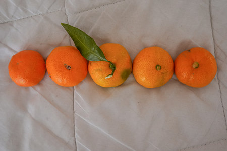 Five fresh mandarins lined up on white surfaceの写真素材