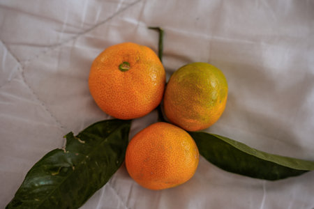 Three mandarins with branch and leaf on whiteの写真素材