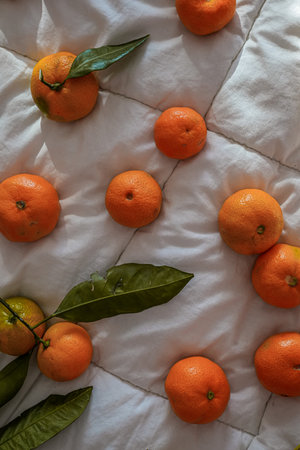 Vertical view of mandarins with autumn leavesの写真素材