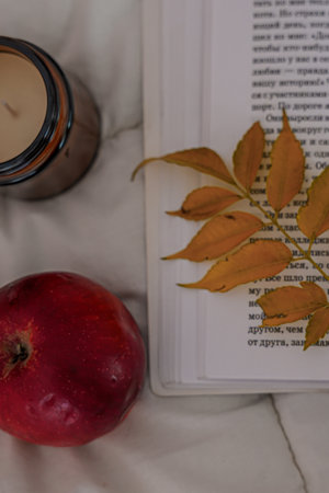 Close-up of a candle, a red apple and an open book with an autumn leafの写真素材