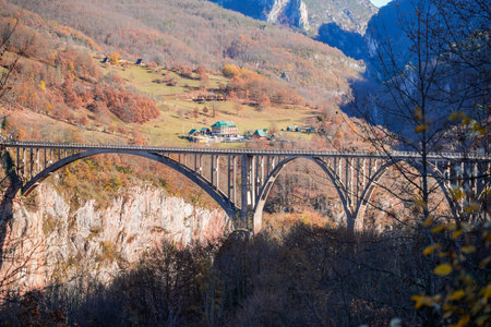Durdevica Tara Bridge in autumn landscapeの写真素材