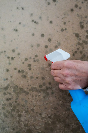 Vertical View of Hand Spraying Mold on Wall