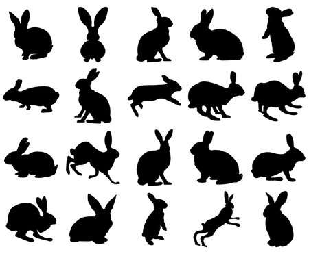 Set of rabbit silhouettes, isolated on white backgroundのイラスト素材