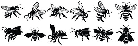 Set of bee silhouettes, isolated on white backgroundのイラスト素材
