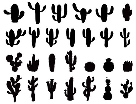 Cactus silhouettes set. Vector illustrations isolated on white backgroundのイラスト素材