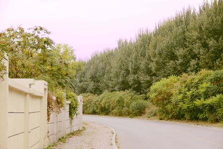 On the pathの写真素材