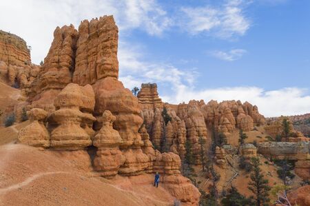 Striking rock formation with pine trees and a blue sky at Red Canyon in the Utah Canyon Country. A young man enjoys the beauty while hiking through the hoodoos.の写真素材