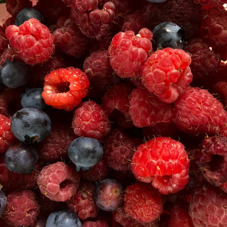 fresh berries in a bowlの写真素材