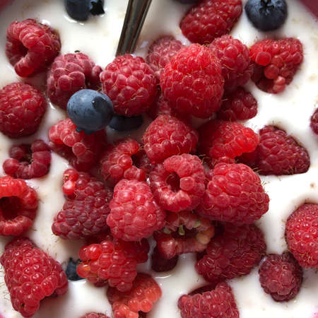 a bowl of oats with fresh berriesの写真素材