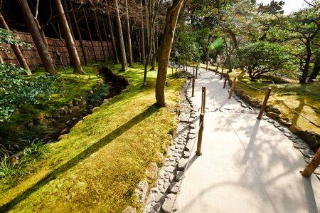 Japanese forest with bamboo fence and walk wayの写真素材