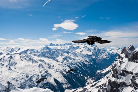 Urner Alps, view from top of Titlis mountain, Obwalden, Switzerland