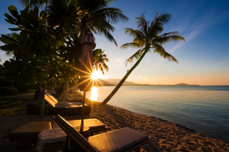 Sunset at the beach with lounges and coconut trees foregroundの写真素材