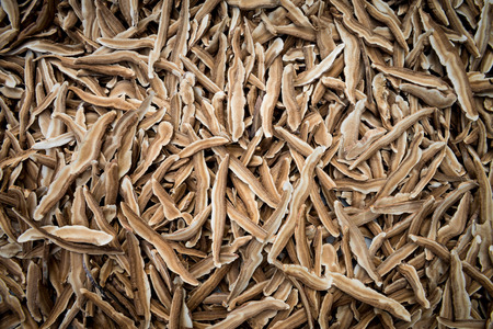 Dried sliced Lingzhi mushroom  Ganoderma lucidum の写真素材